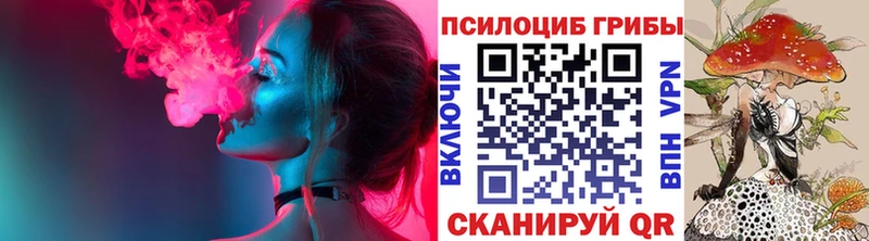 где купить наркоту Дыгулыбгей Псилоцибиновые грибы Magic Shrooms